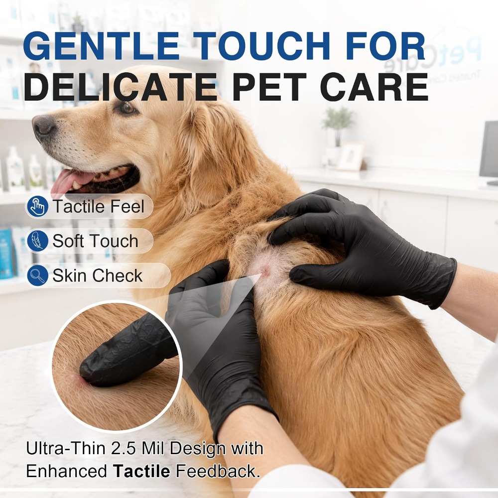 Disposable Black Nitrile Glove - Exam Glove Nitrile ulasan dan harga