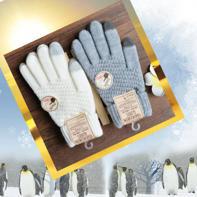 Autumn Winter New Rabbit Hair  - Magic Touch Glove ulasan dan harga