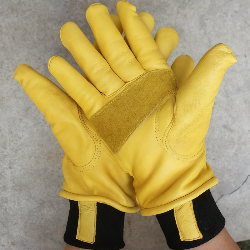 Mens Motorcycle Winter Gloves  - Winter Glove Insulated ulasan dan harga