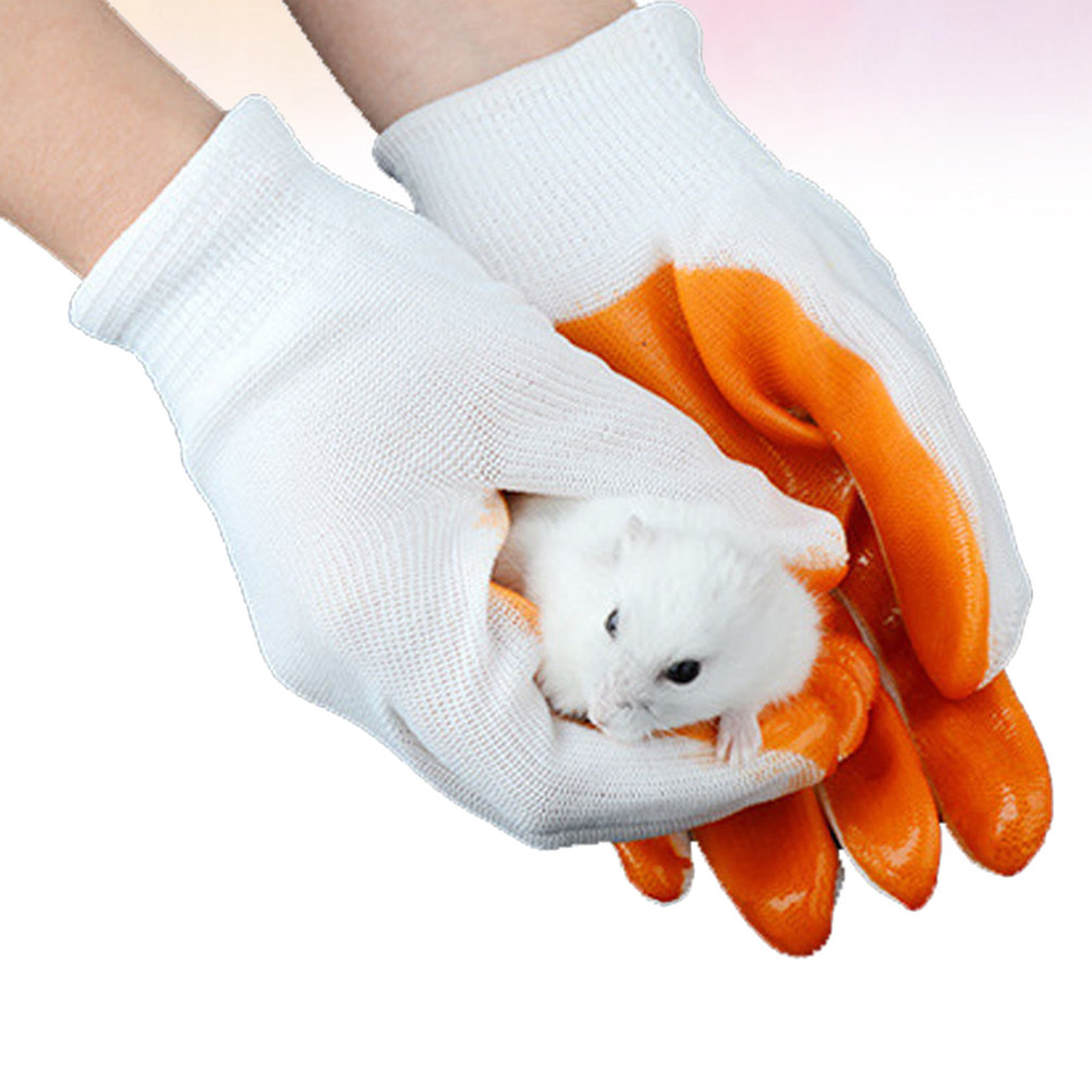 1Pair Anti-Bite Gloves for Sma - Cut Resistant Glove ulasan dan harga