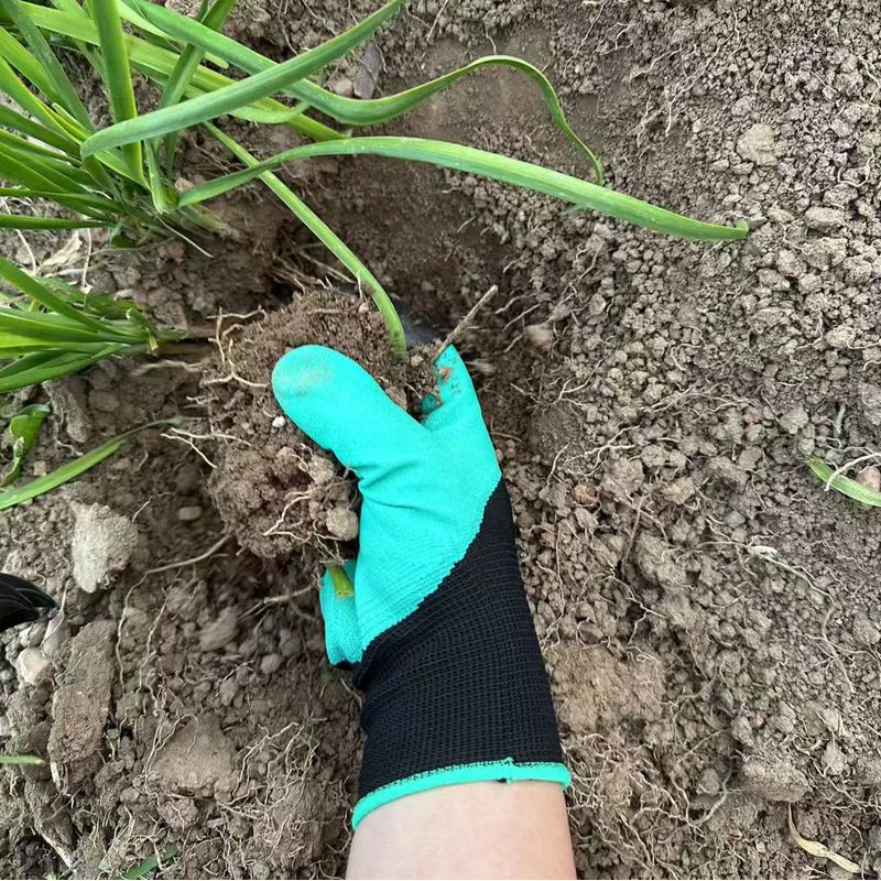 Gardening Gloves with Built-in - Gardening Glove Waterproof ulasan dan harga